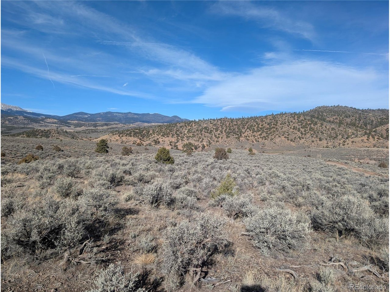 4822 Spencer Road Fort Garland, CO 81133 - Photo 2 of 14 a view of a field with trees in the background