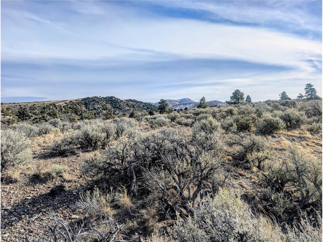 4822 Spencer Road Fort Garland, CO 81133 - Photo 3 of 14 a view of a bunch of trees in a field