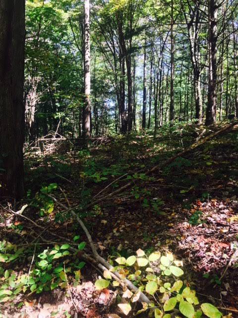 0 Texas Road Newark, OH 43055 - Photo 2 of 3
