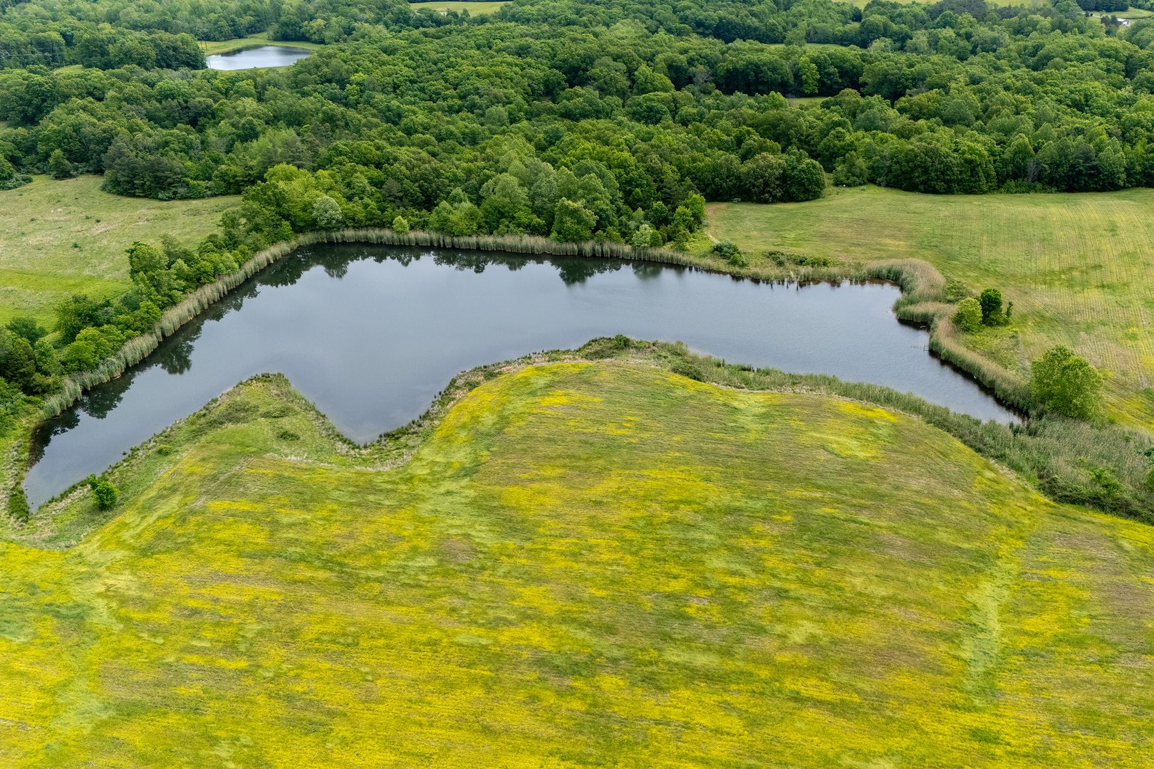 3350 North McGeesville Road Carbondale, IL 62902 - Photo 45 of 58