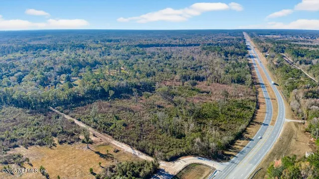 a view of a lot of trees and bushes