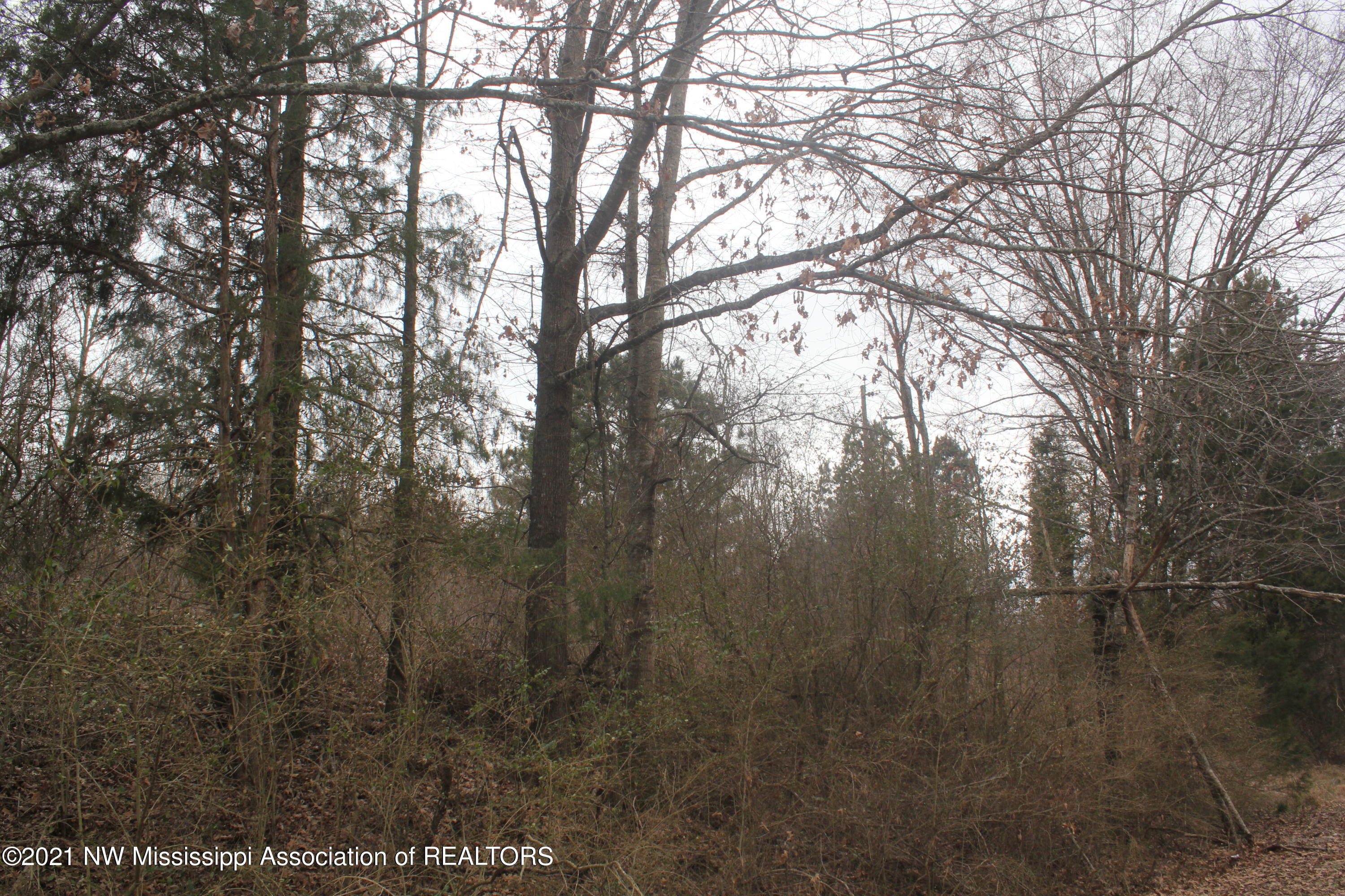 1 Compress Road Como, MS 38619 - Photo 12 of 19 IMG_5747