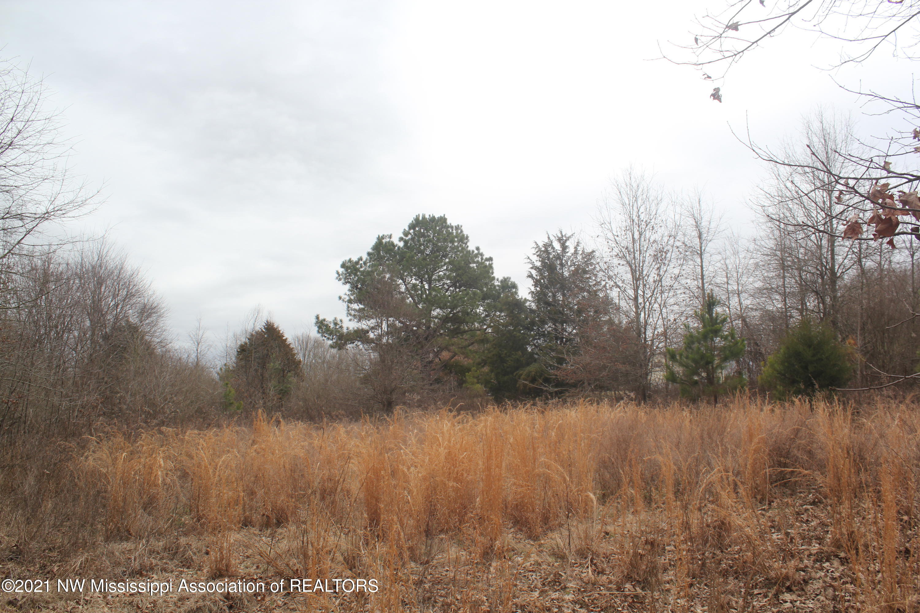 1 Compress Road Como, MS 38619 - Photo 7 of 19 IMG_5742