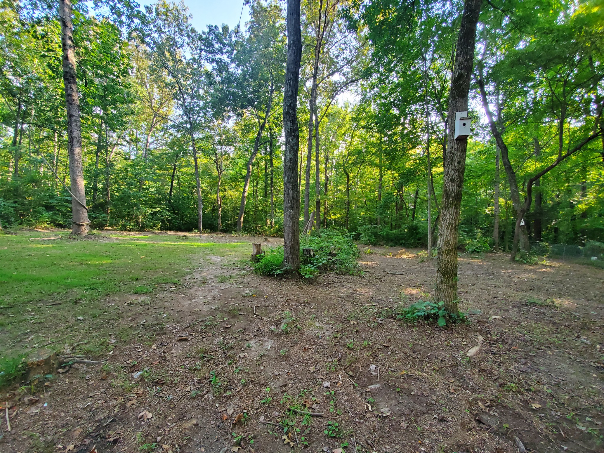 281 Tom Johnson Road Morrison, TN 37357 - Photo 27 of 33 Gallery Image 27