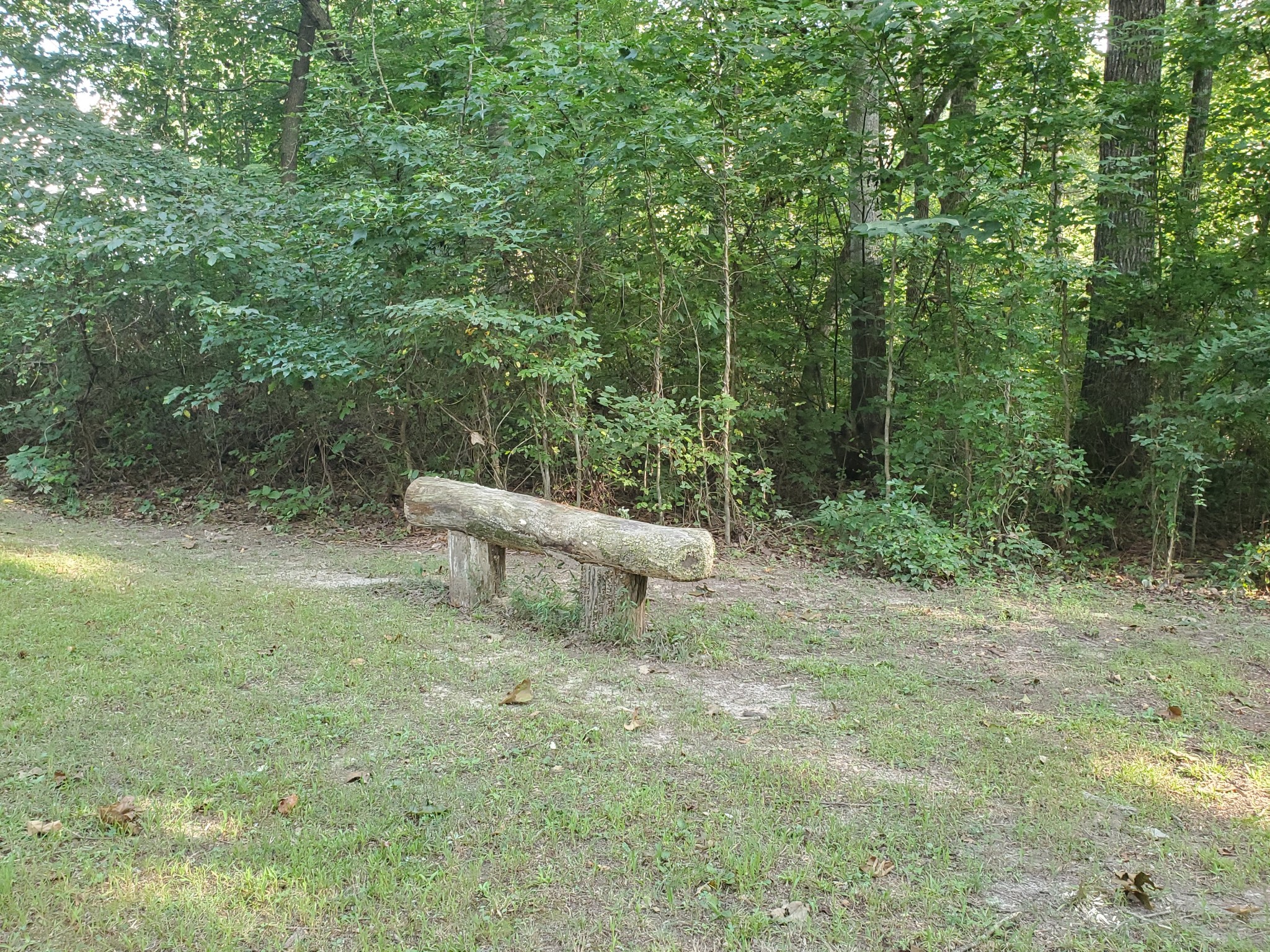 281 Tom Johnson Road Morrison, TN 37357 - Photo 29 of 33 Gallery Image 29