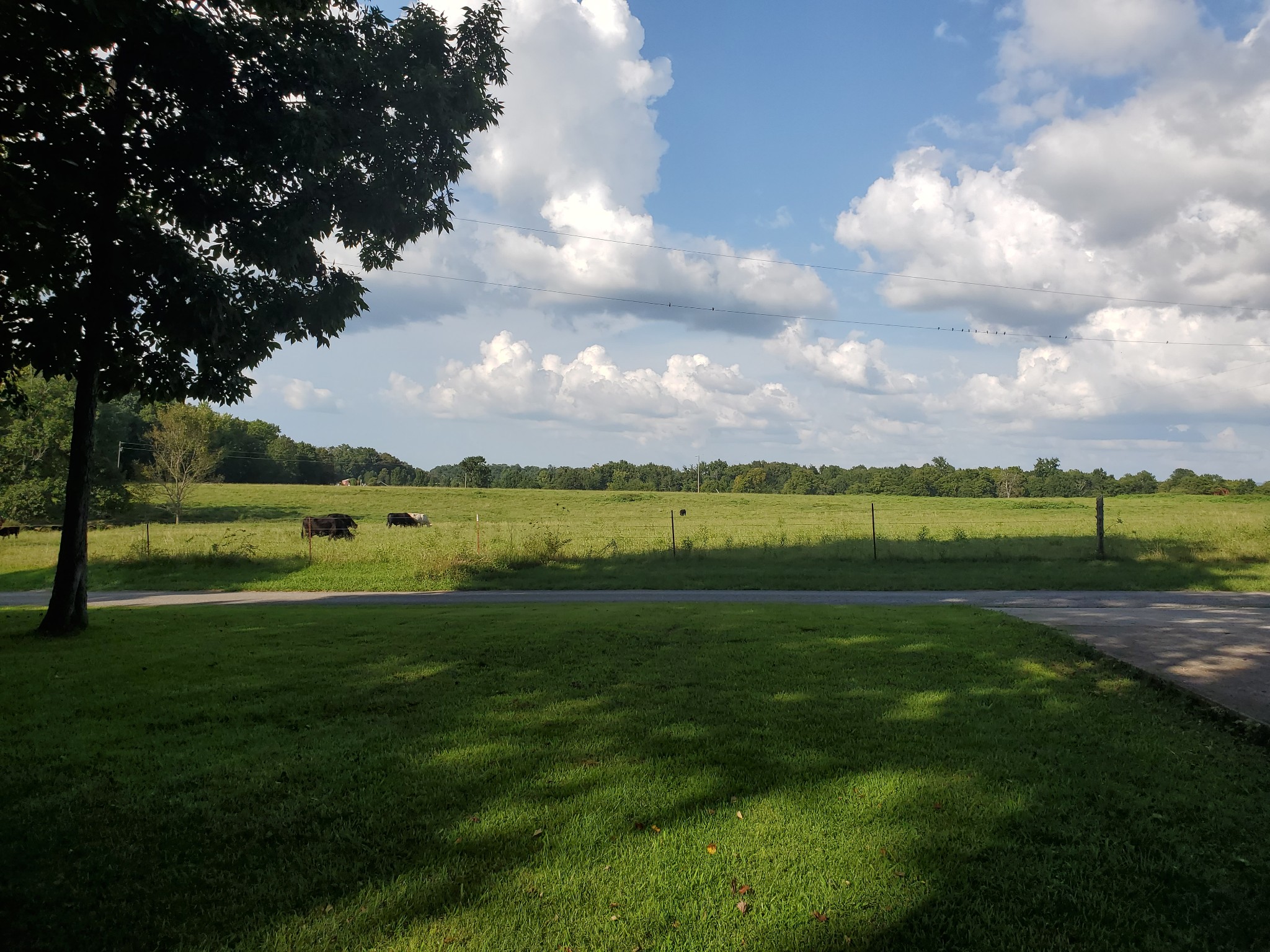 281 Tom Johnson Road Morrison, TN 37357 - Photo 33 of 33 Gallery Image 33