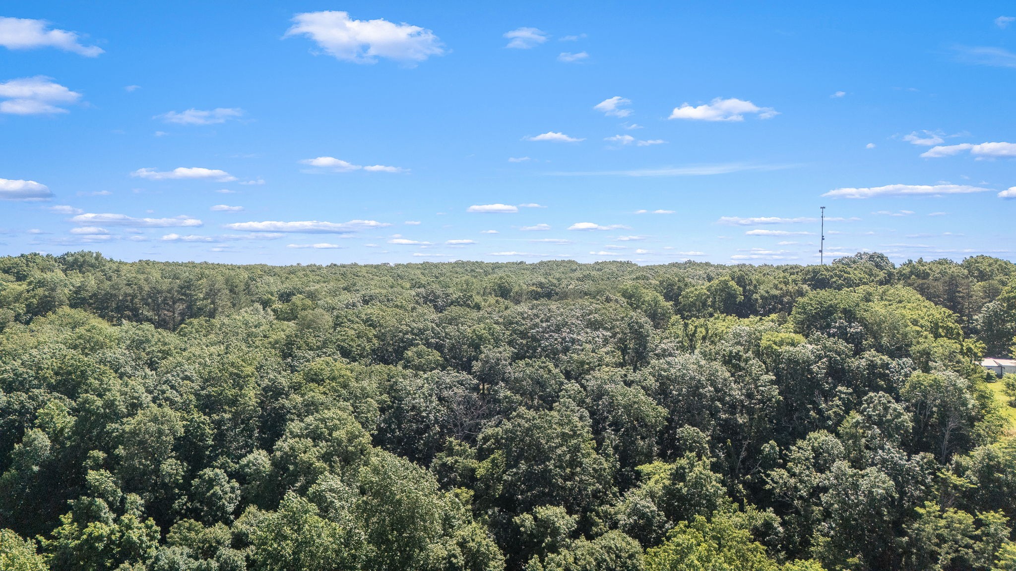 0 Claiborne View Road Sewanee, TN 37375 - Photo 15 of 23