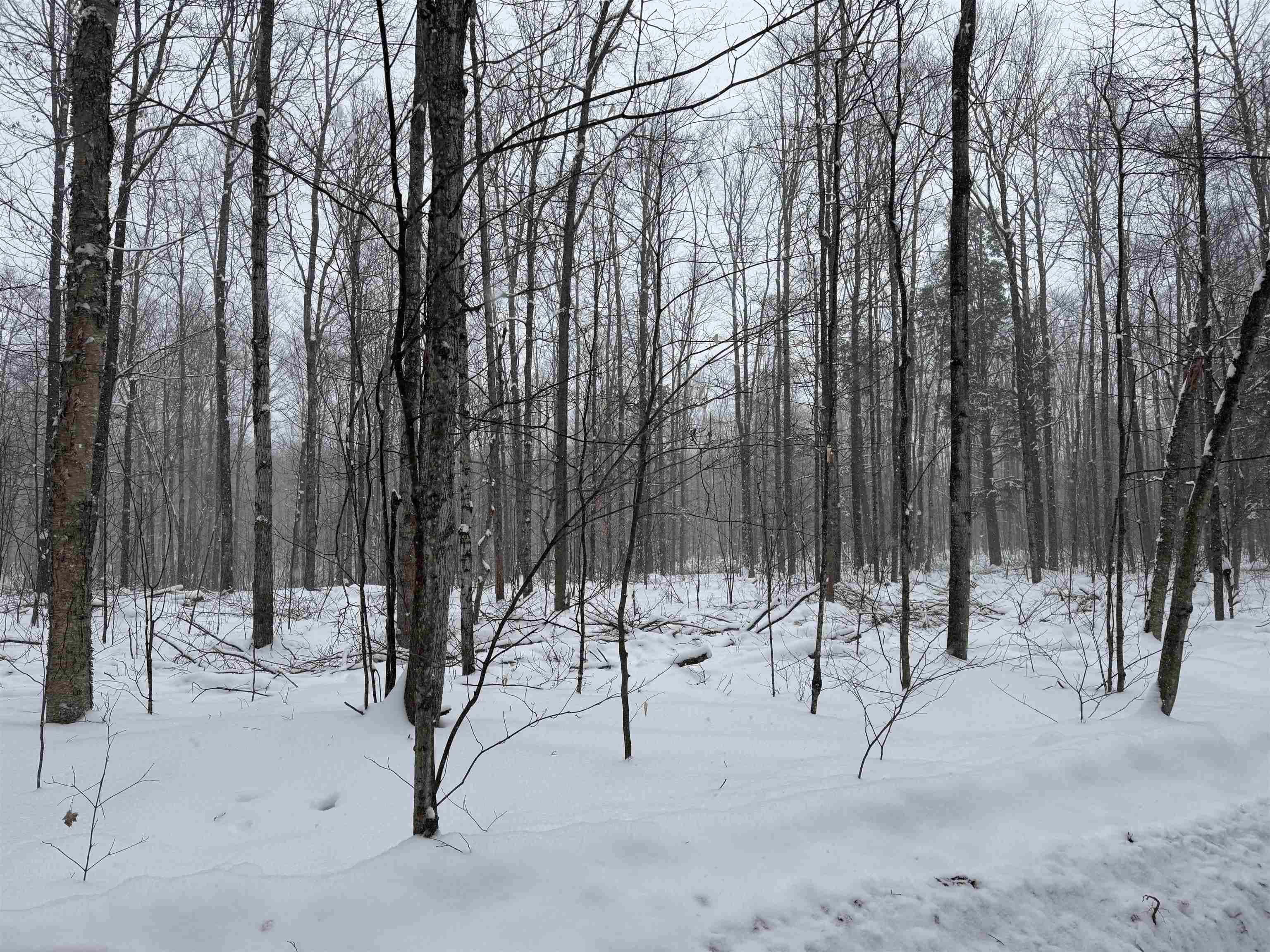 -dreffs Off McCoy Road Gaylord, MI 49735 - Photo 5 of 14