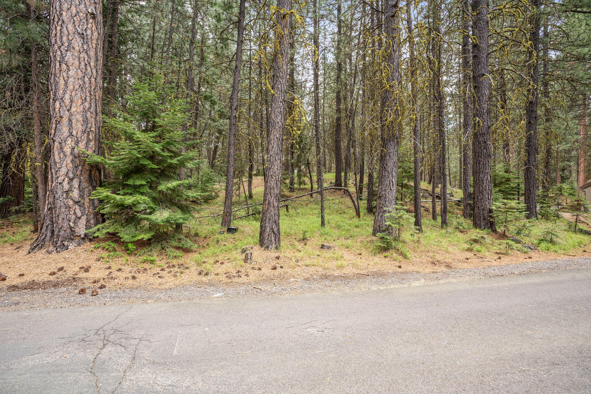 Undisclosed Address Black Butte Ranch, OR 97759 - Photo 4 of 24 a backyard of a house with lots of green space