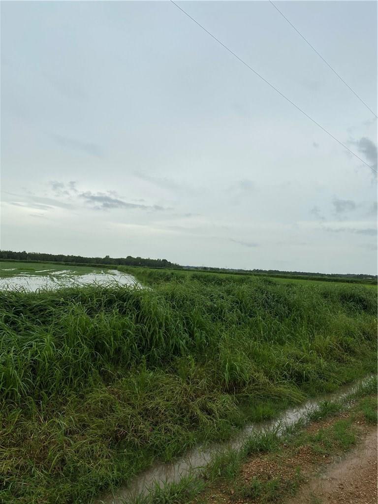 Linscomb Road Elton, LA 70532 - Photo 2 of 4 Gallery Image 2