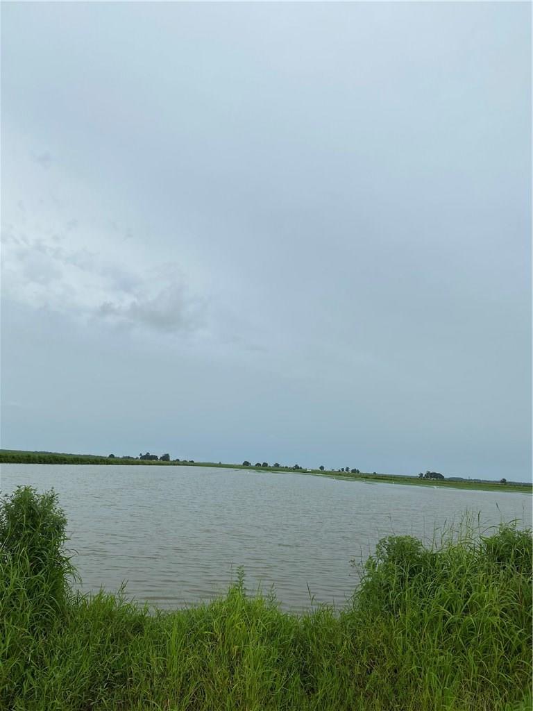 Linscomb Road Elton, LA 70532 - Photo 3 of 4 Gallery Image 3