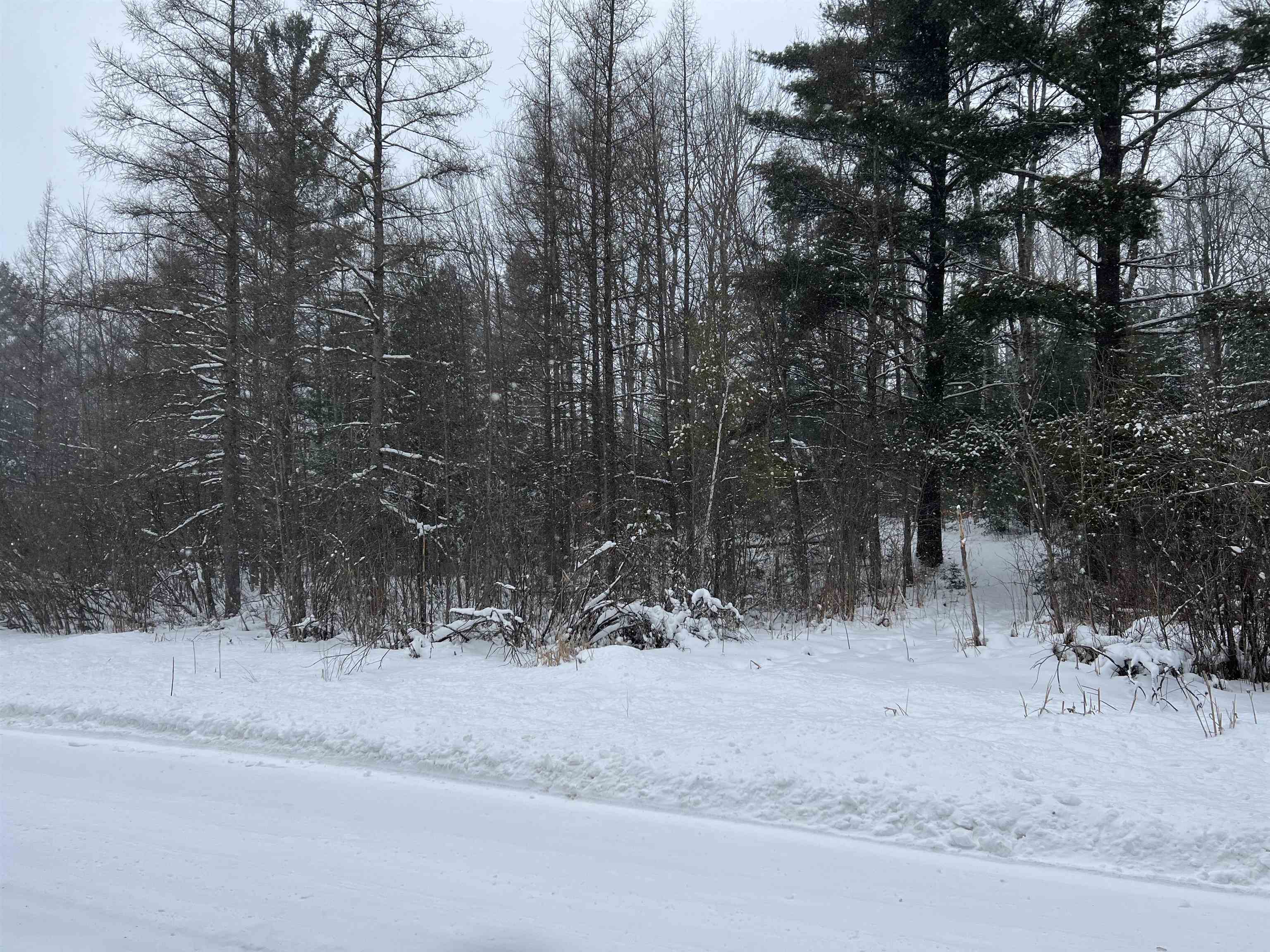 0 East 44 Road Cadillac, MI 49601 - Photo 2 of 6