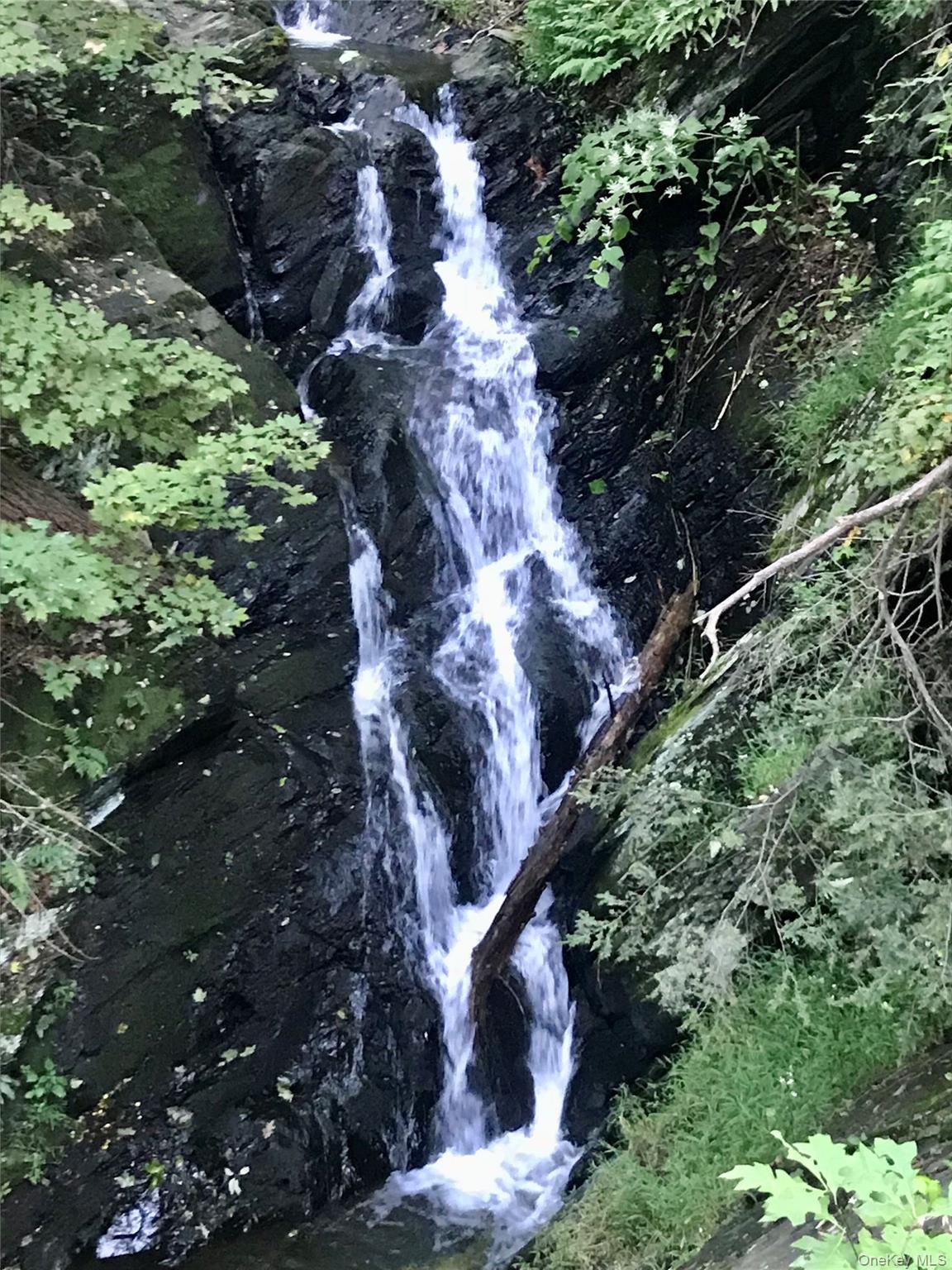 a view of outdoor space and street view