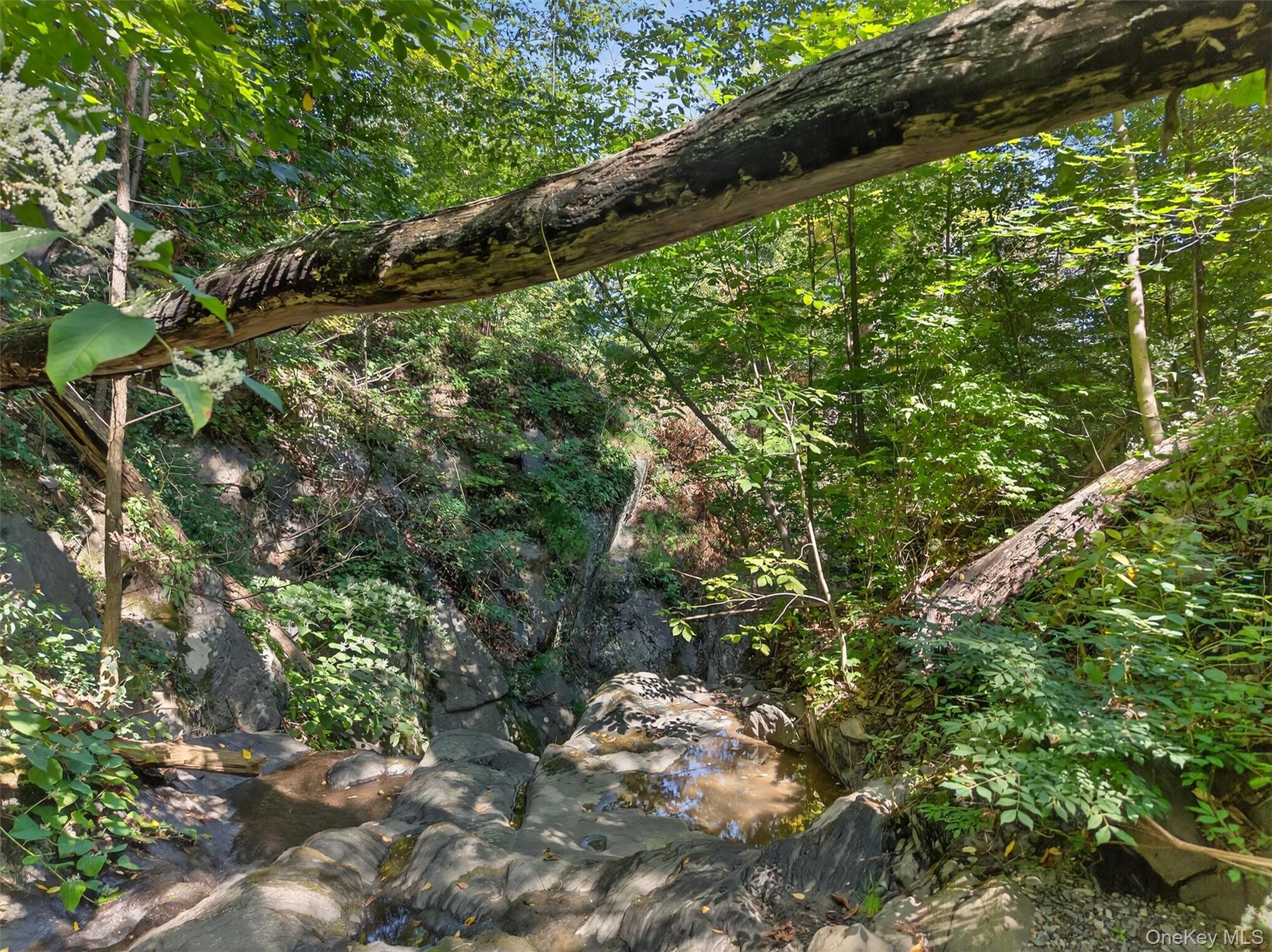 331 Mountain Lodge Road Blooming Grove, NY 10950 - Photo 13 of 50 a backyard of a house