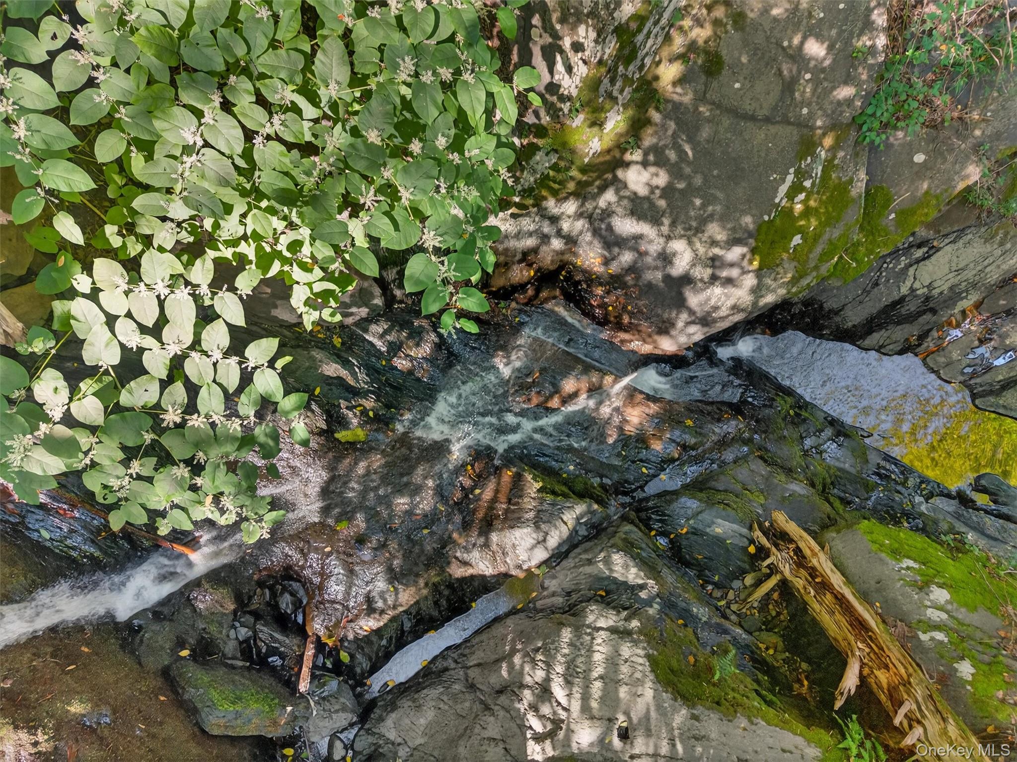 331 Mountain Lodge Road Blooming Grove, NY 10950 - Photo 14 of 50 a backyard of a house with lots of green space