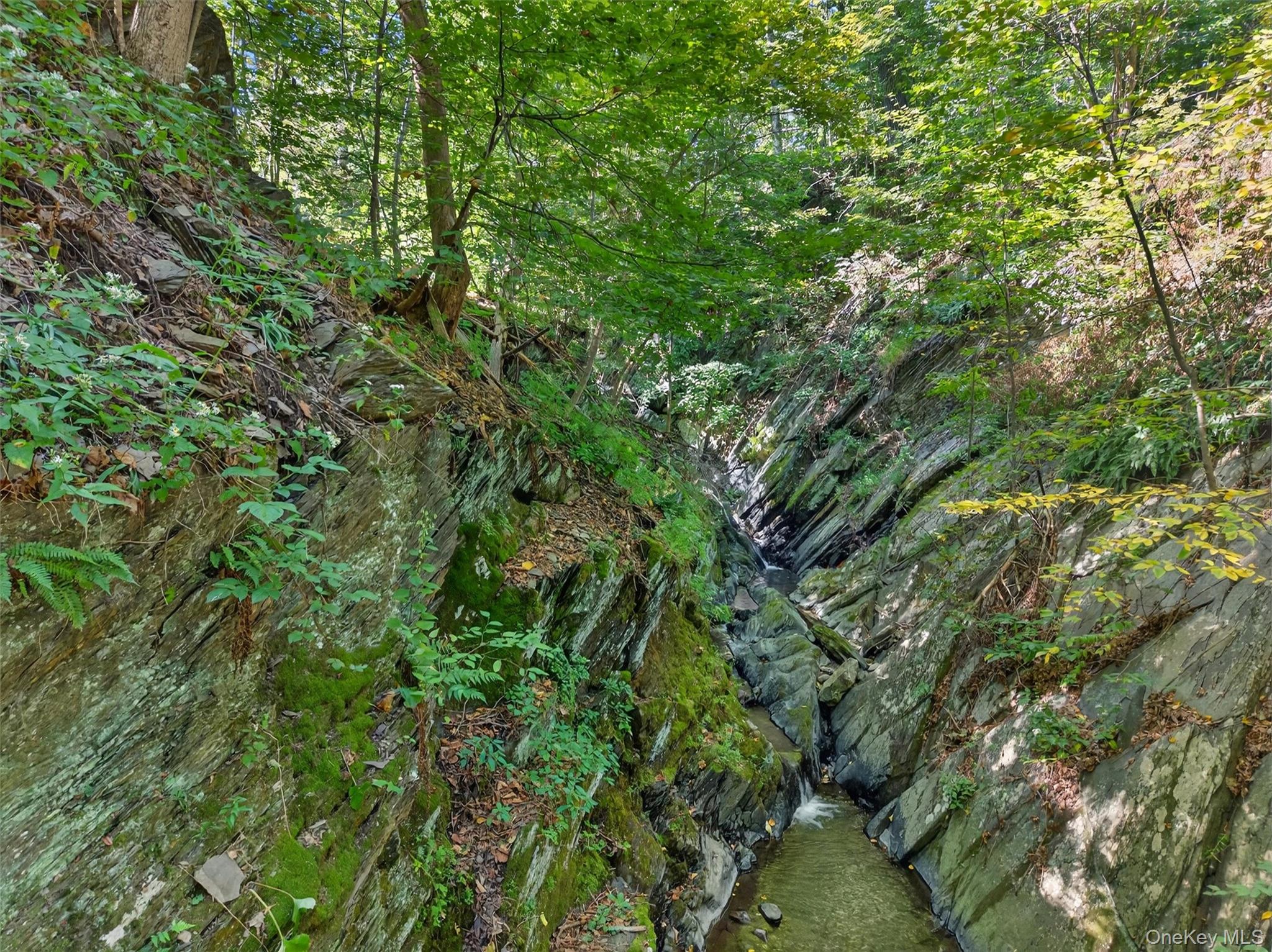 331 Mountain Lodge Road Blooming Grove, NY 10950 - Photo 16 of 50 a view of a lush green forest