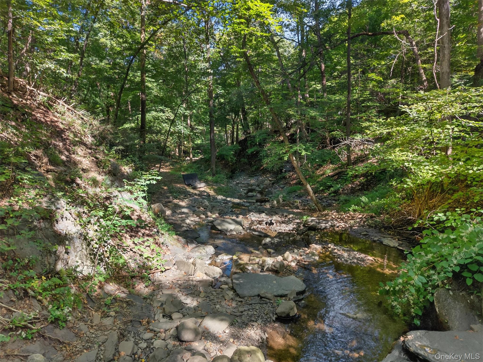331 Mountain Lodge Road Blooming Grove, NY 10950 - Photo 17 of 50 a view of a forest with lots of trees