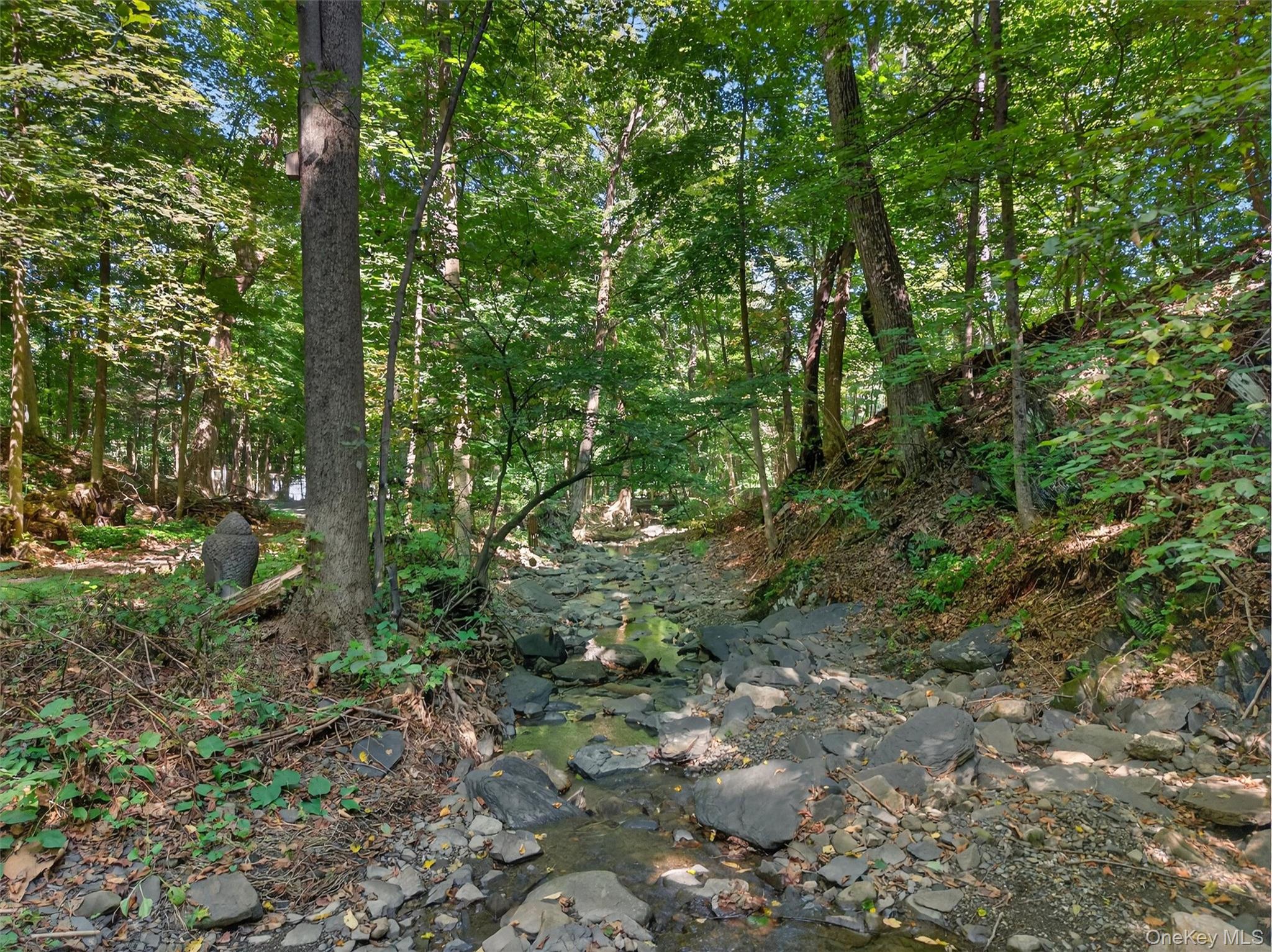 331 Mountain Lodge Road Blooming Grove, NY 10950 - Photo 21 of 50 a view of a forest with lots of trees