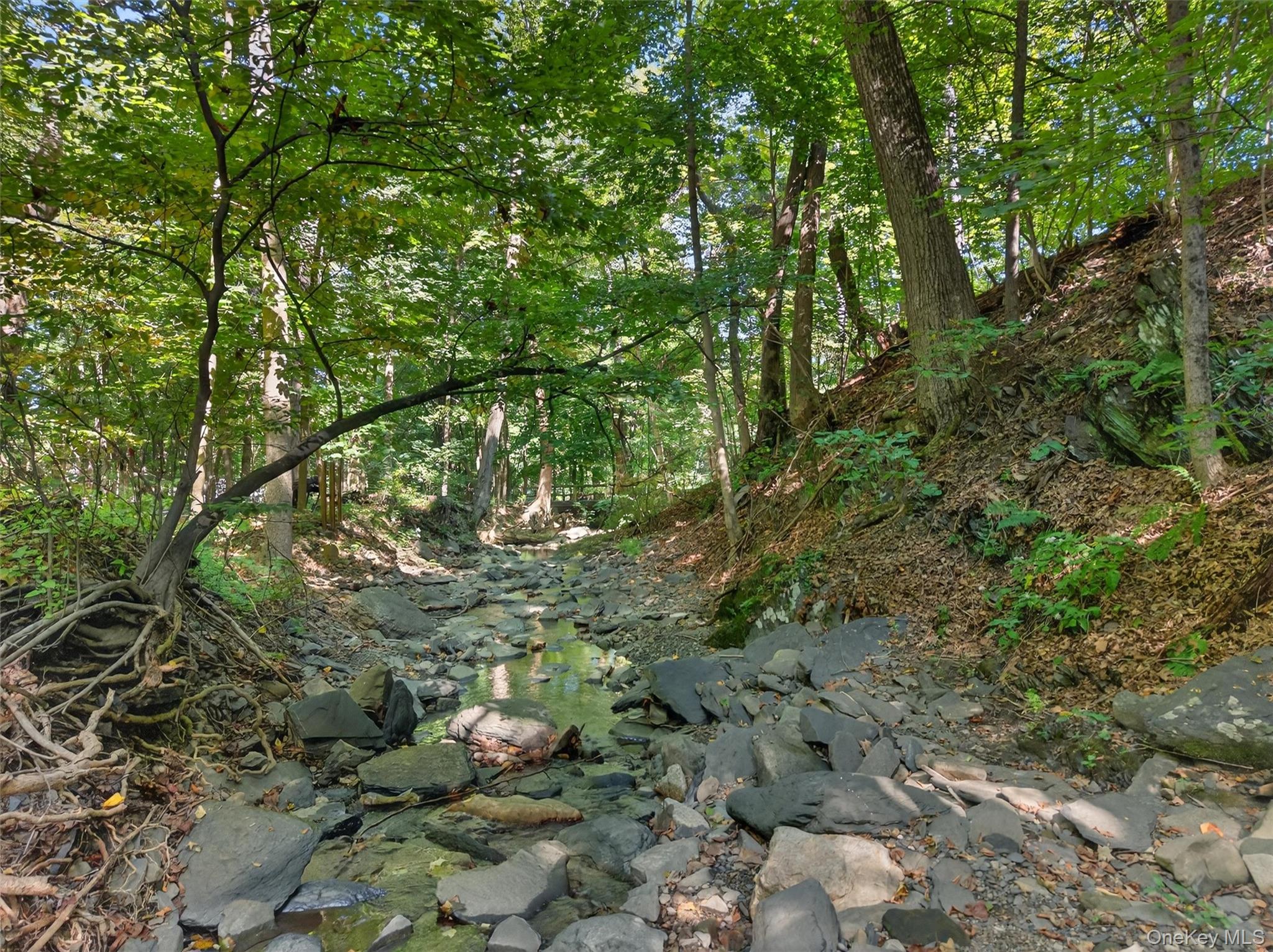 331 Mountain Lodge Road Blooming Grove, NY 10950 - Photo 22 of 50 a view of a forest