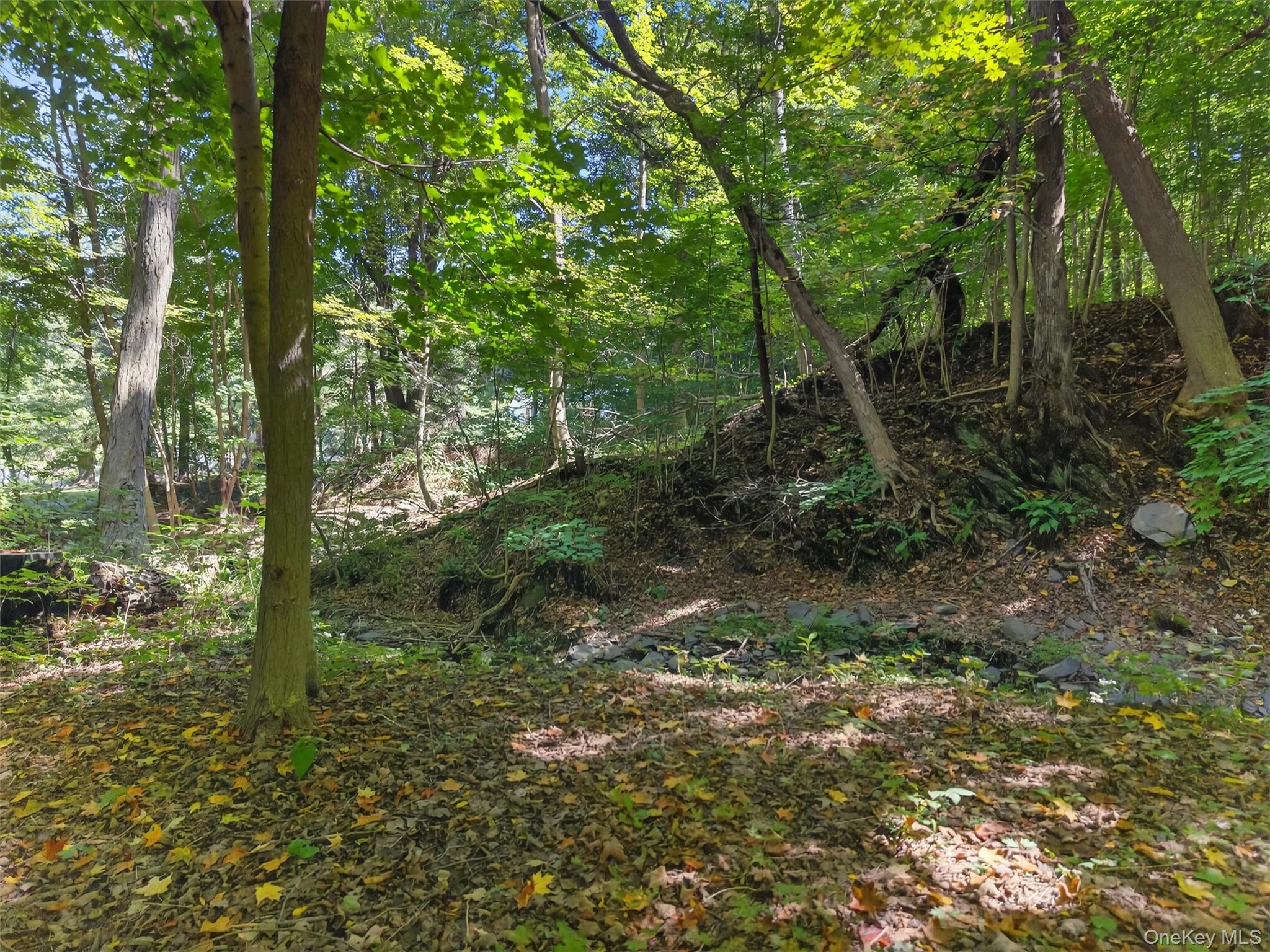 331 Mountain Lodge Road Blooming Grove, NY 10950 - Photo 25 of 50 a view of outdoor space and green space