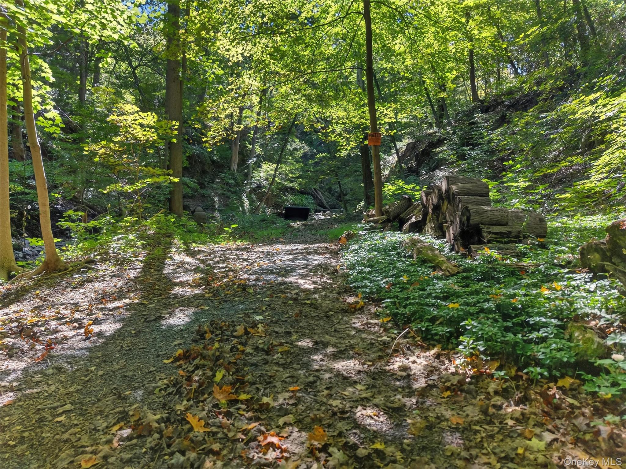 331 Mountain Lodge Road Blooming Grove, NY 10950 - Photo 29 of 50 a backyard of a house with lots of green space