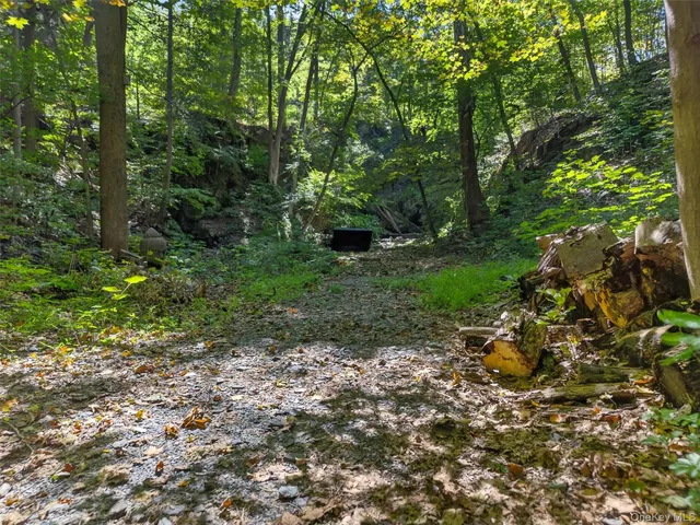 $300,000 | 331 Mountain Lodge Road, Blooming Grove, NY 10950