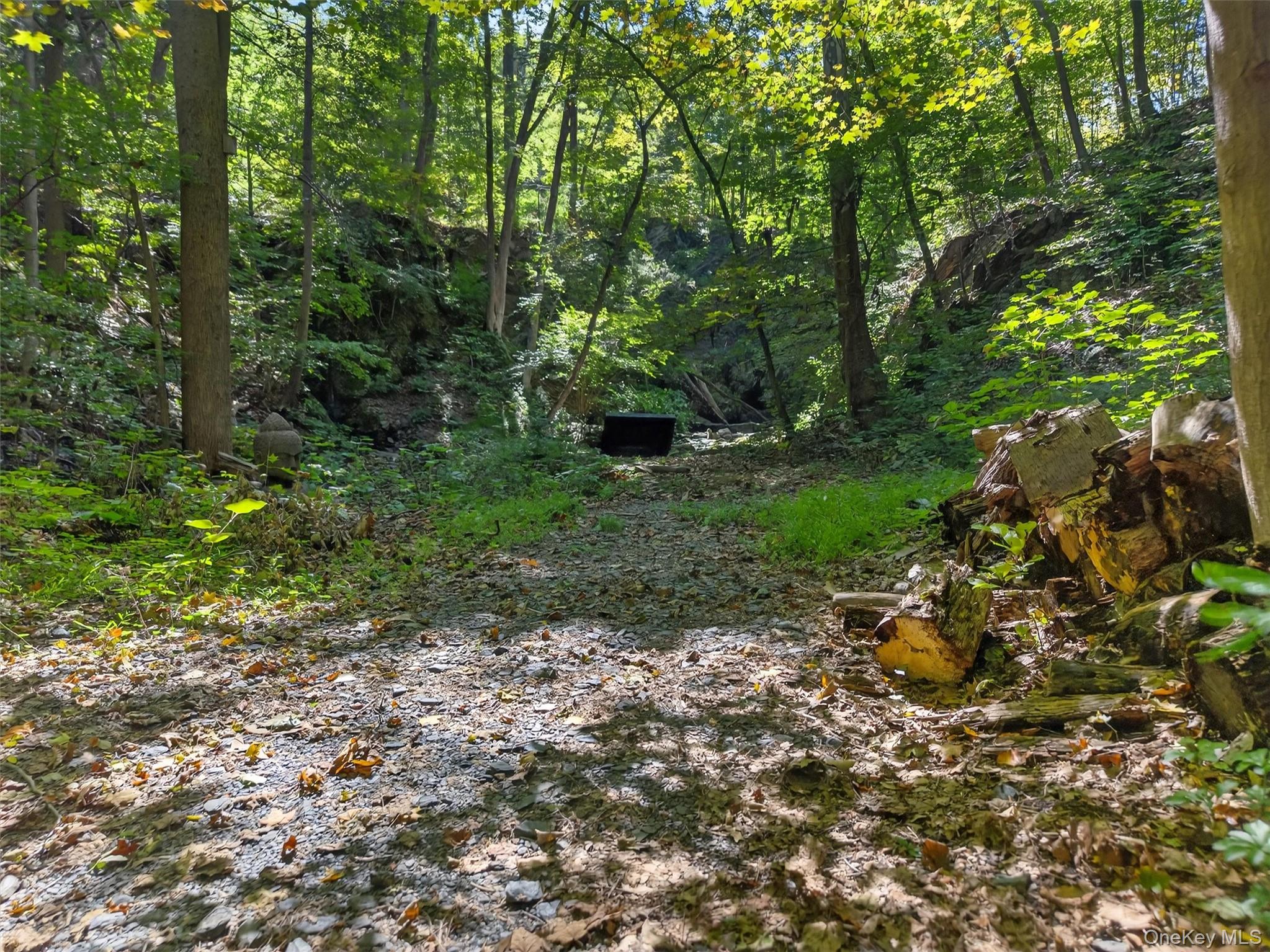 331 Mountain Lodge Road Blooming Grove, NY 10950 - Photo 30 of 50 a green field with lots of trees