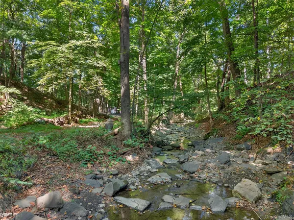 a view of forest