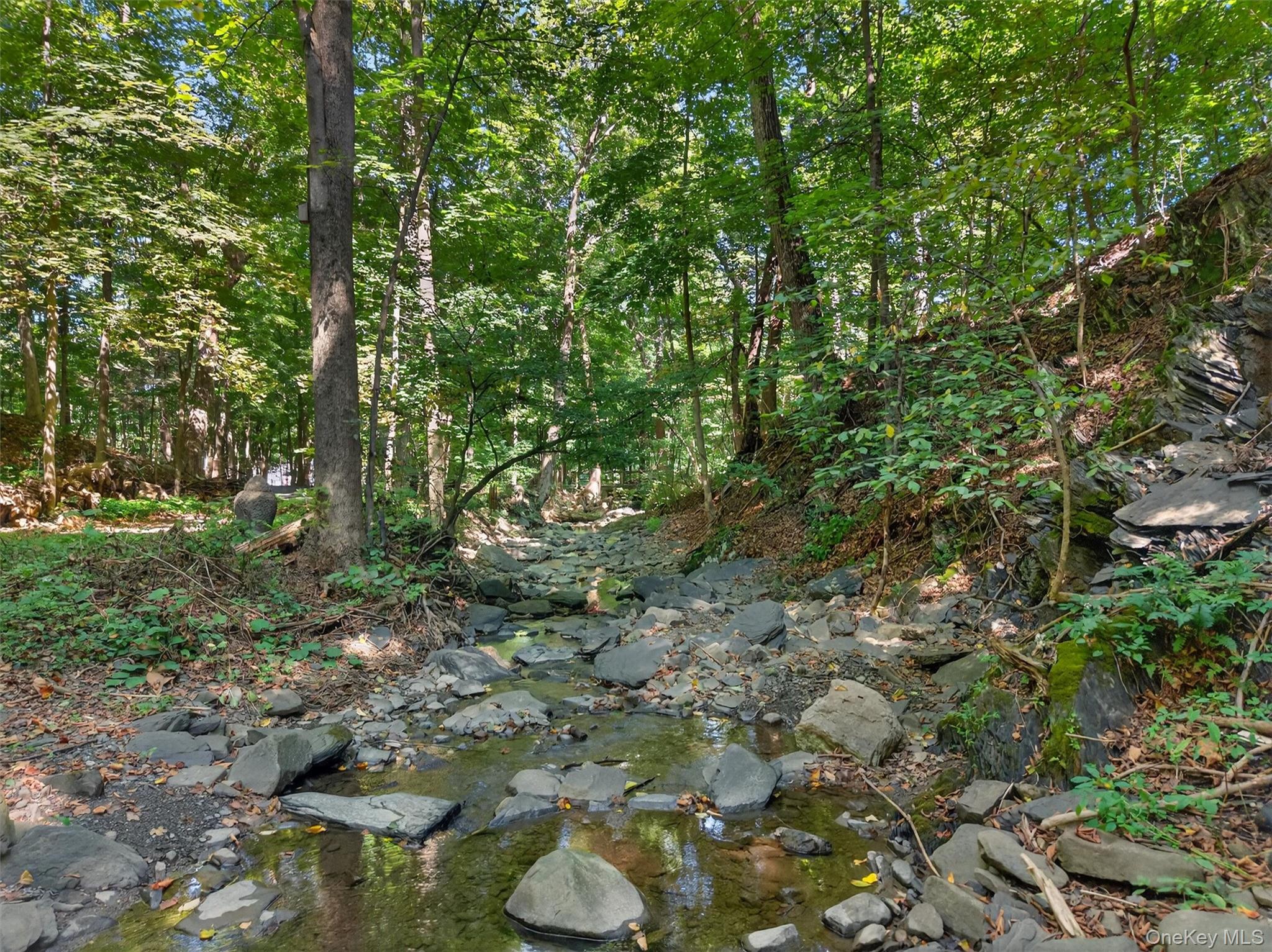 331 Mountain Lodge Road Blooming Grove, NY 10950 - Photo 33 of 50 a view of a forest with trees