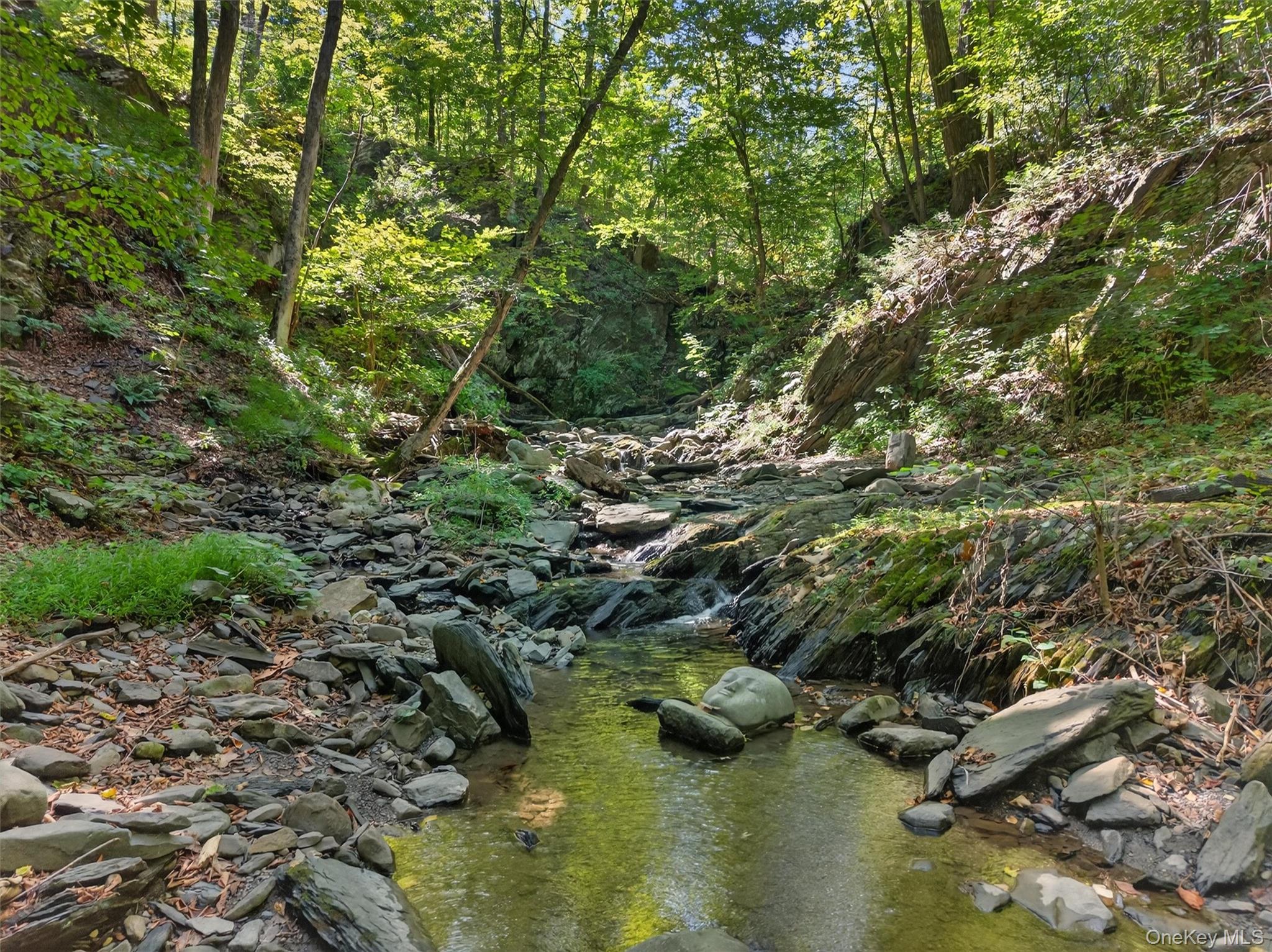 331 Mountain Lodge Road Blooming Grove, NY 10950 - Photo 34 of 50 a view of a lake with houses