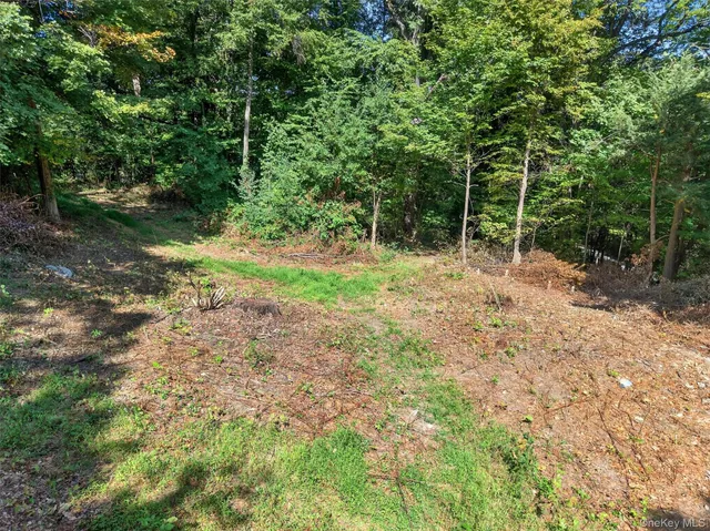 $300,000 | 331 Mountain Lodge Road, Blooming Grove, NY 10950