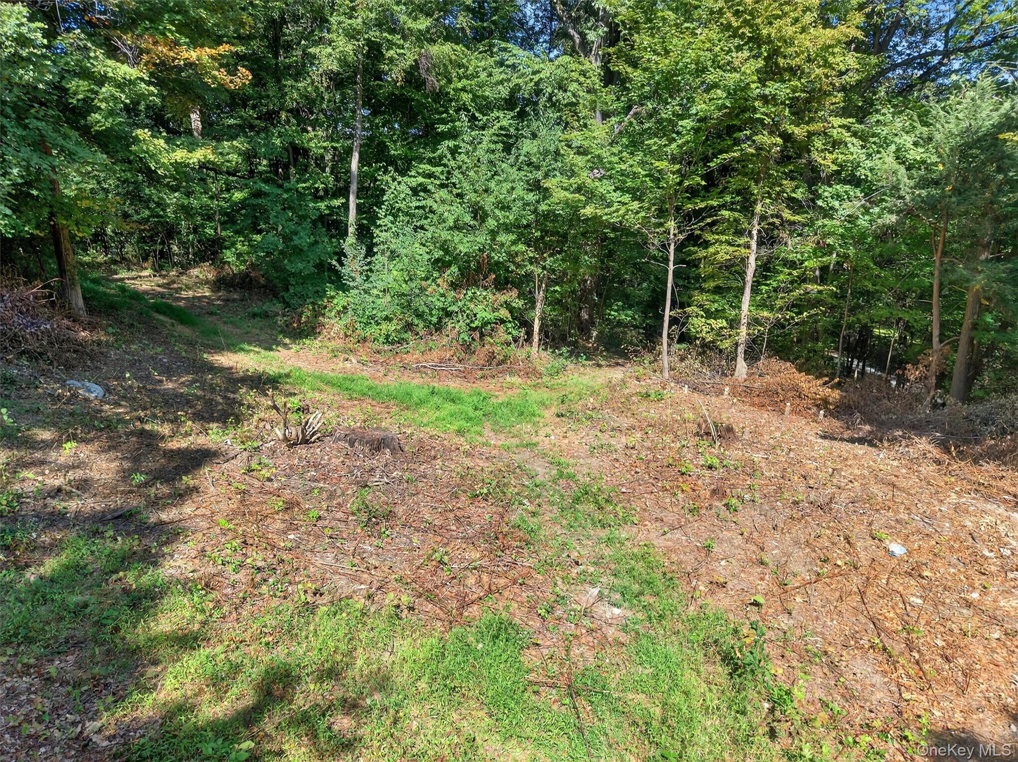 331 Mountain Lodge Road Blooming Grove, NY 10950 - Photo 37 of 50 a view of outdoor space with trees all around
