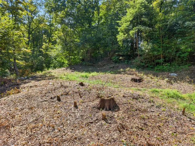 $300,000 | 331 Mountain Lodge Road, Blooming Grove, NY 10950