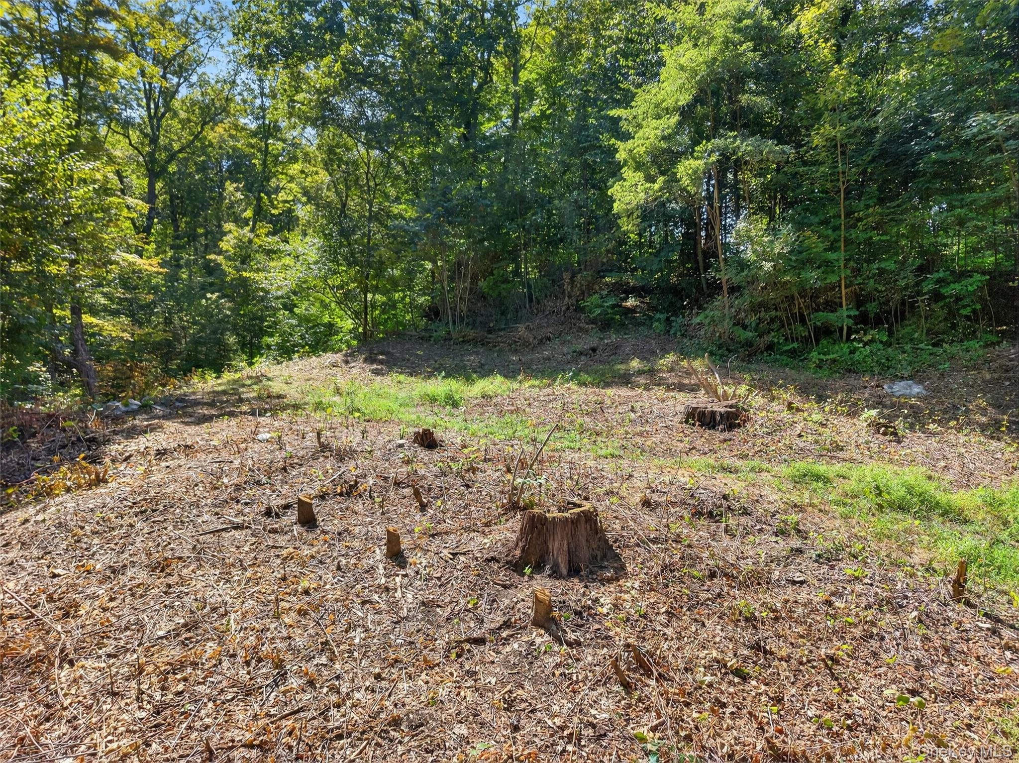331 Mountain Lodge Road Blooming Grove, NY 10950 - Photo 39 of 50 a backyard of a house with lots of green space