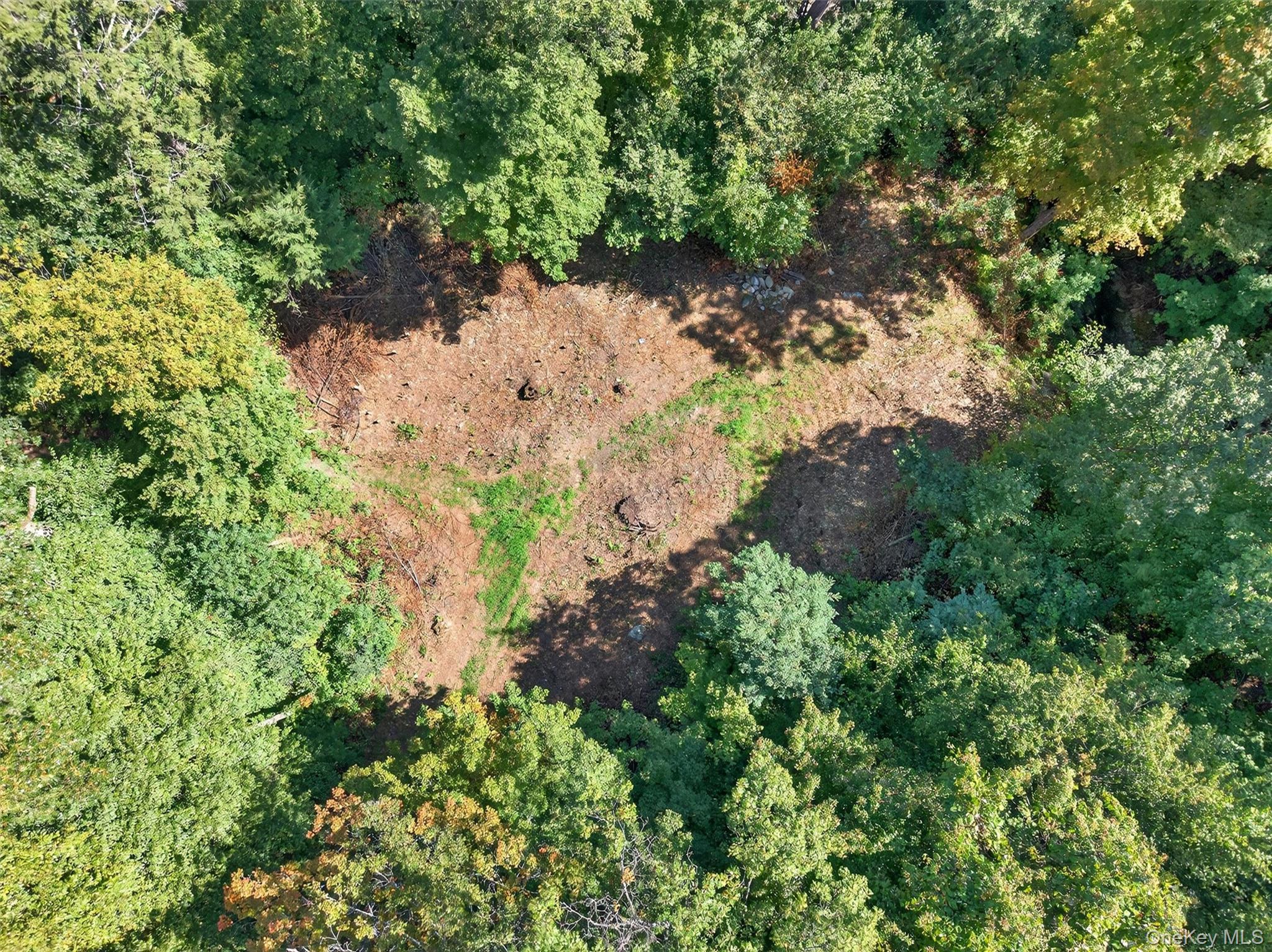 331 Mountain Lodge Road Blooming Grove, NY 10950 - Photo 40 of 50 Aerial view of property's location with a forest