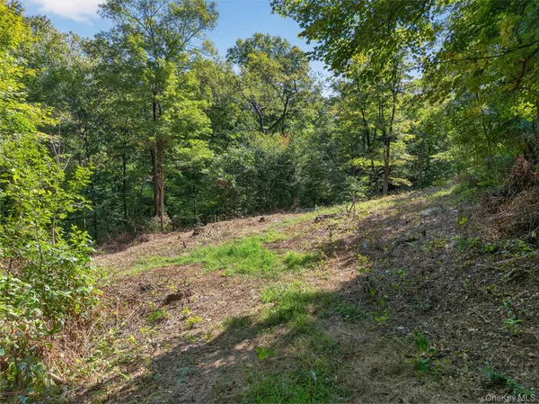 a view of a lush green field