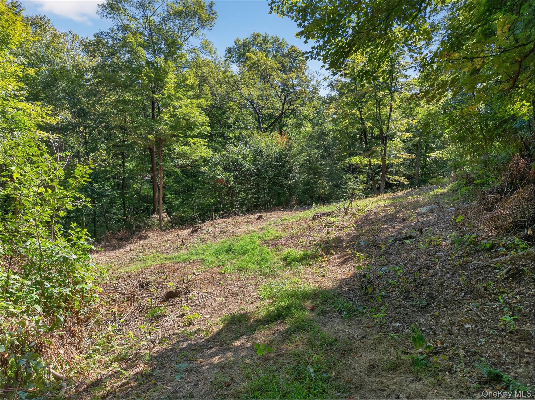 331 Mountain Lodge Road Blooming Grove, NY 10950 - Photo 41 of 50 a view of a forest with trees in the background