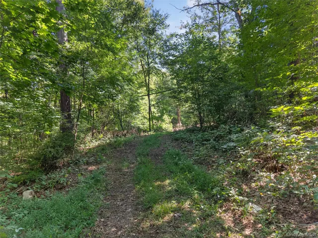 $300,000 | 331 Mountain Lodge Road, Blooming Grove, NY 10950