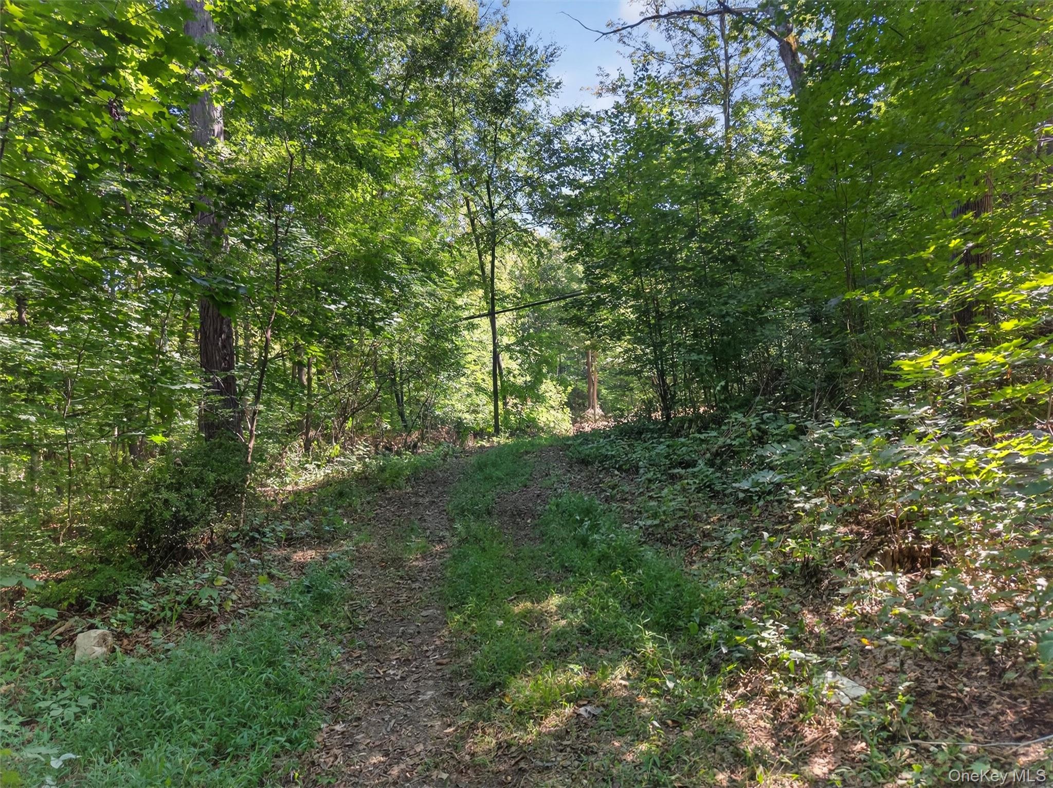 331 Mountain Lodge Road Blooming Grove, NY 10950 - Photo 42 of 50 a view of a yard with a tree