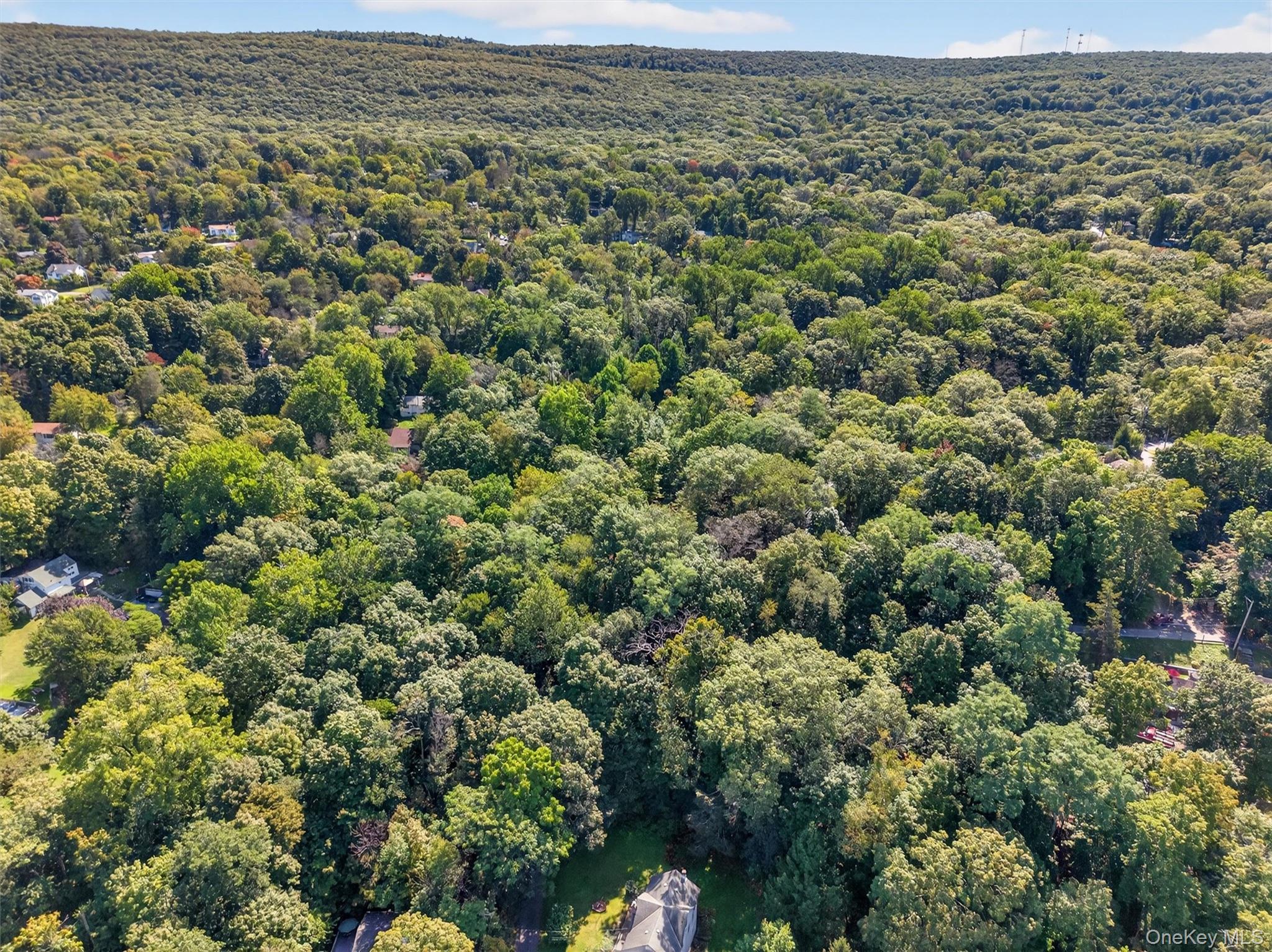 331 Mountain Lodge Road Blooming Grove, NY 10950 - Photo 44 of 50 an aerial view of houses with yard