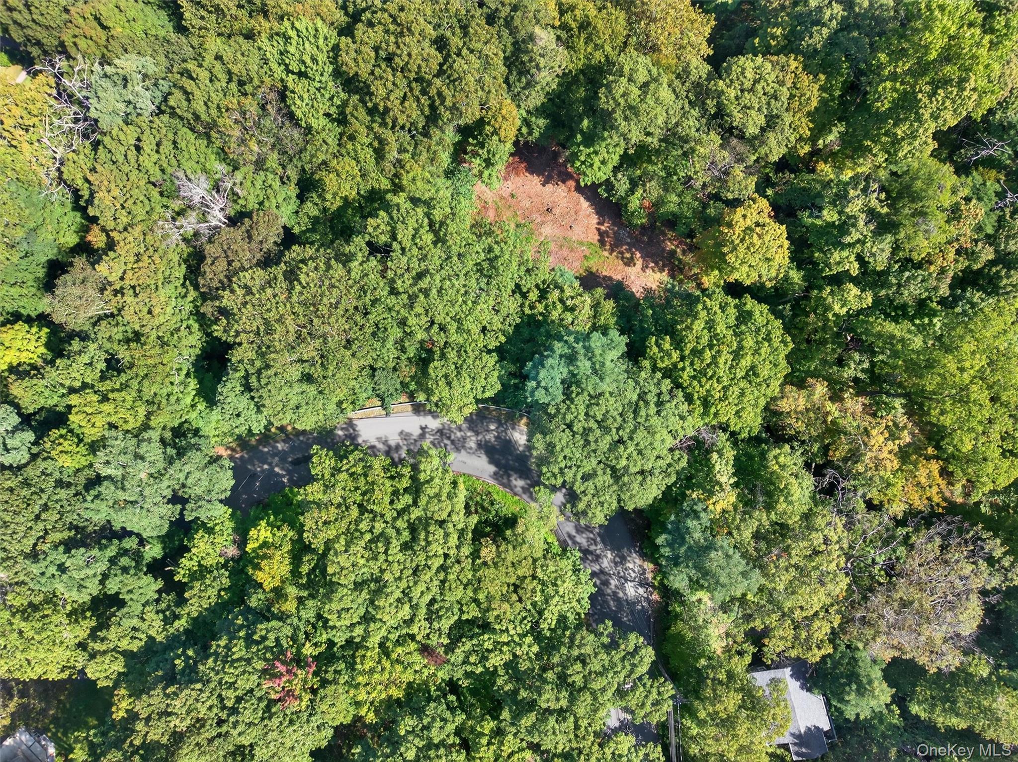 331 Mountain Lodge Road Blooming Grove, NY 10950 - Photo 47 of 50 a backyard of a house with lots of green space and trees