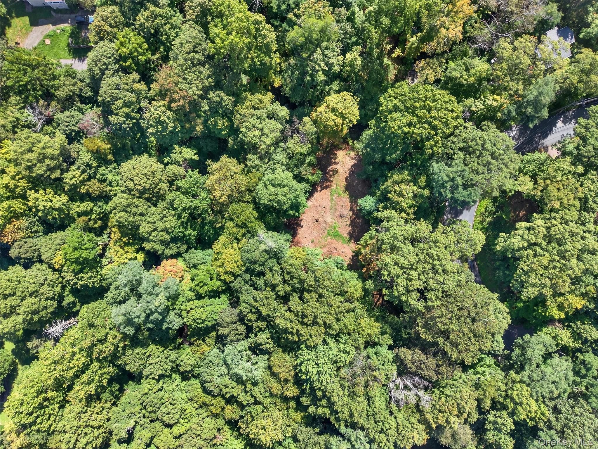 331 Mountain Lodge Road Blooming Grove, NY 10950 - Photo 50 of 50 an aerial view of a house with a yard