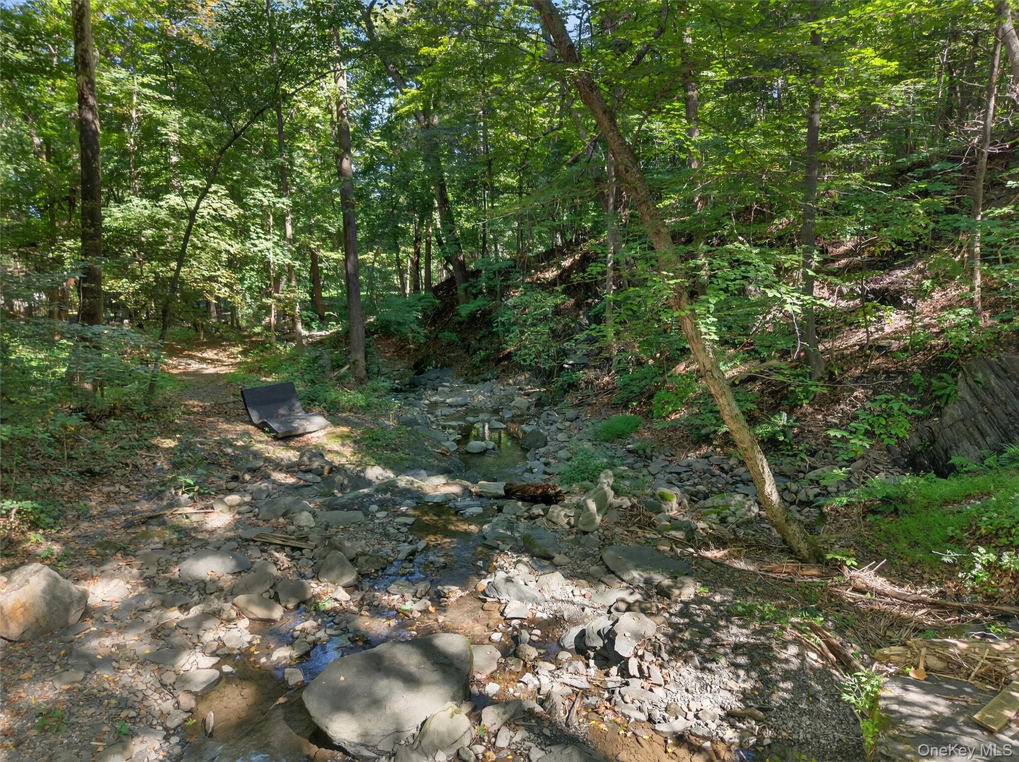 331 Mountain Lodge Road Blooming Grove, NY 10950 - Photo 6 of 50 a view of a forest