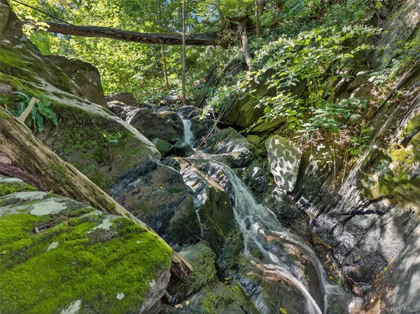 a view of a lush green forest with lots of trees