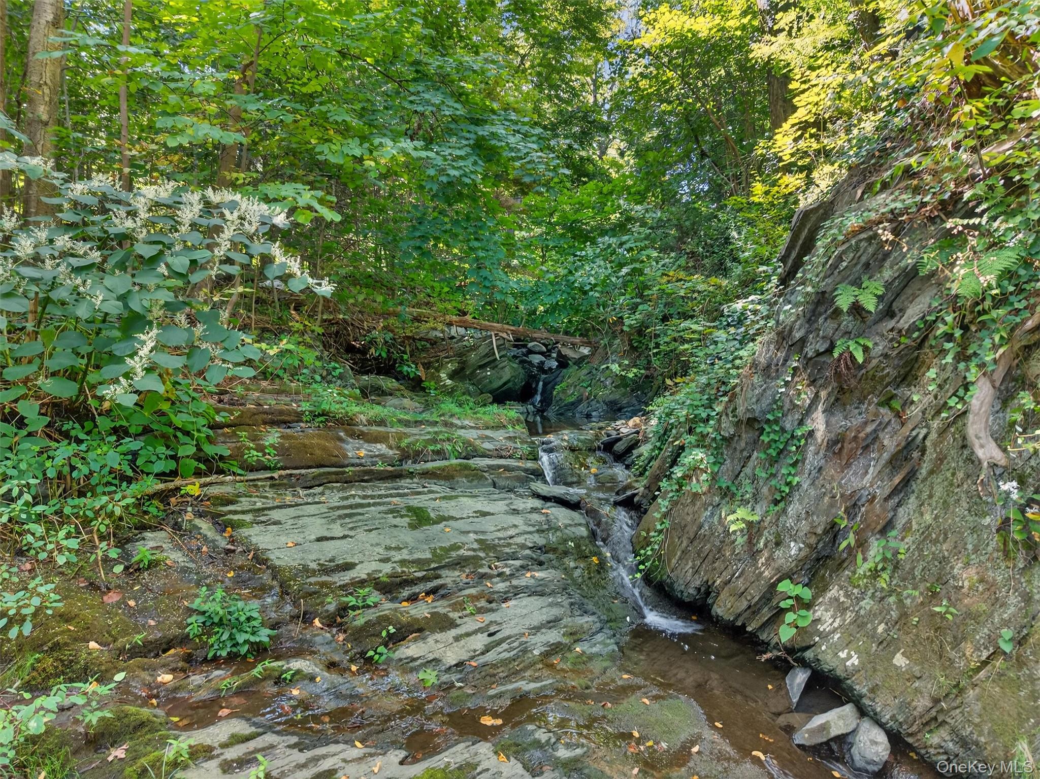 331 Mountain Lodge Road Blooming Grove, NY 10950 - Photo 10 of 50 a yard with lots of trees