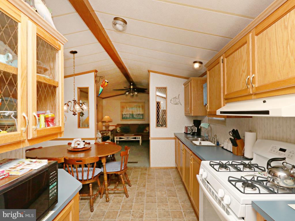 37032 Canvasback Road Selbyville, DE 19975 - Photo 39 of 59 Gallery Image 39