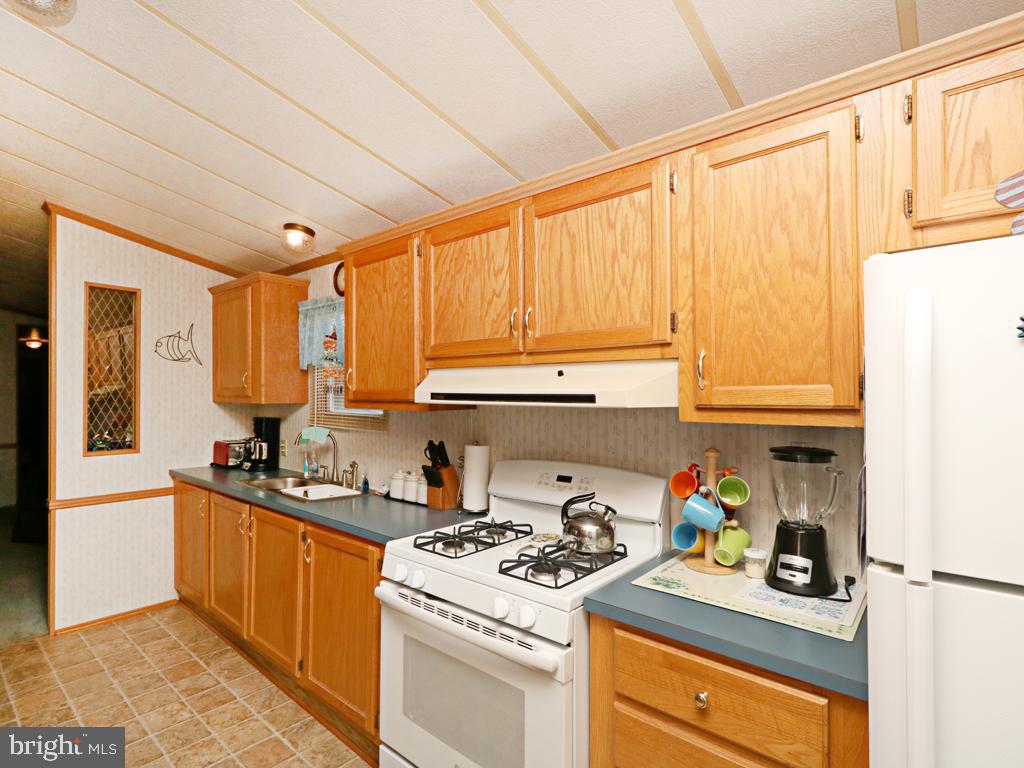37032 Canvasback Road Selbyville, DE 19975 - Photo 40 of 59 Gallery Image 40