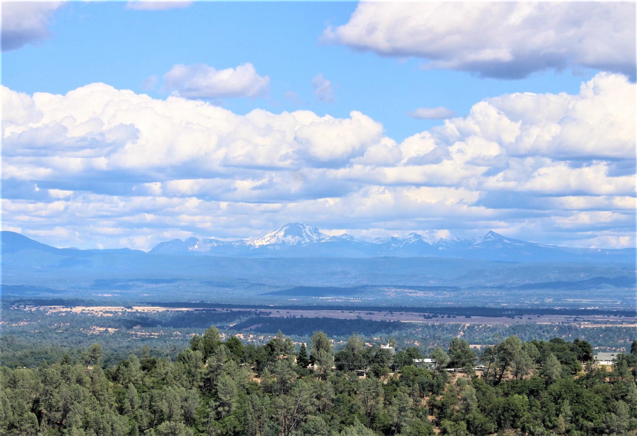 14018 Highview Trail Redding, CA 96003 - Photo 7 of 41 a view of a bunch of trees