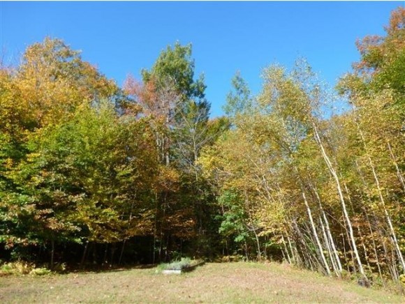 148 Dublin Road Harrisville, NH 03450 - Photo 17 of 22 Gallery Image 17
