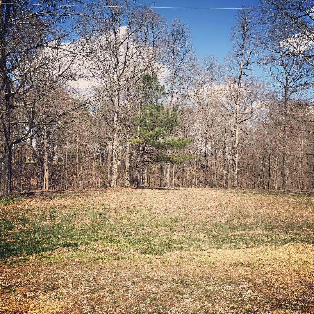 9144 New Chapel Road Springfield, TN 37172 - Photo 4 of 5